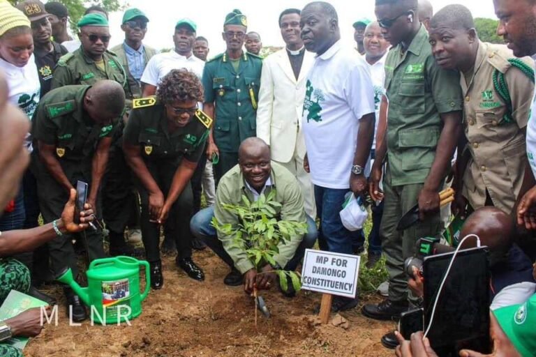 Damongo Set To Become Greenest City In Ghana As Abu Jinapor Launches Green Damongo Project