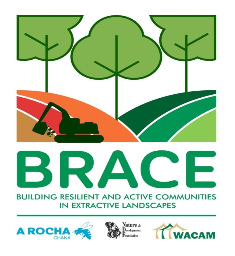 Three NGOs condemns violent attack on environmental Journalists