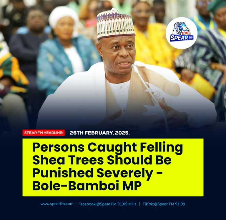 Persons Caught Felling Shea Trees Should Be Punished Severely – Bole-Bamboi MP