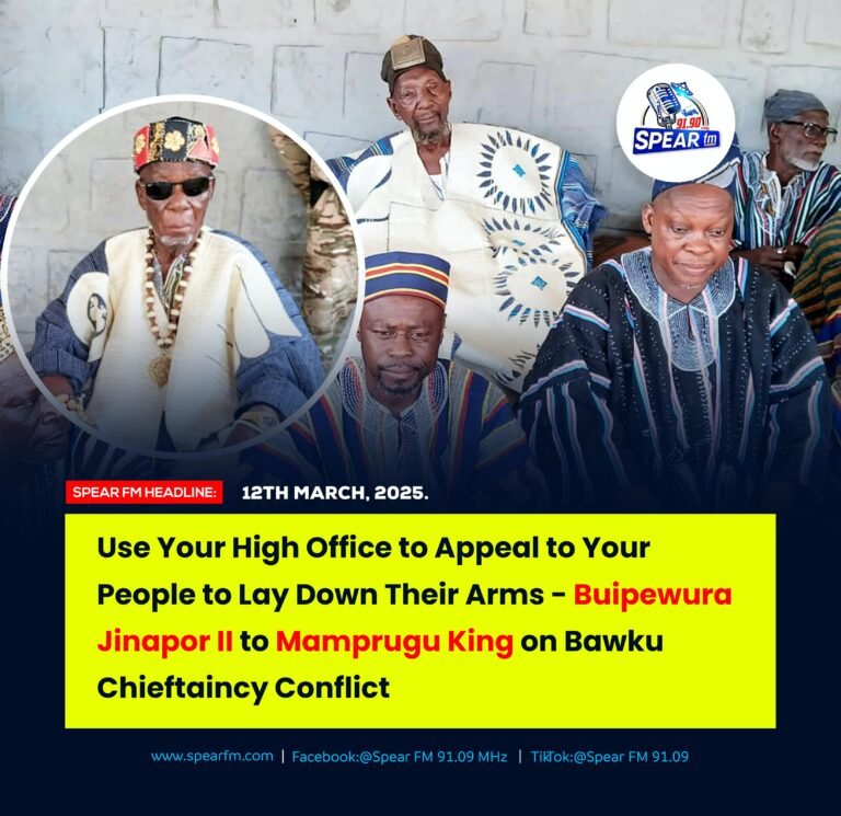 Use Your High Office to Appeal to Your People to Lay Down Their Arms – Buipe-wura Jinapor to Mamprugu King on Bawku chieftaincy Conflict