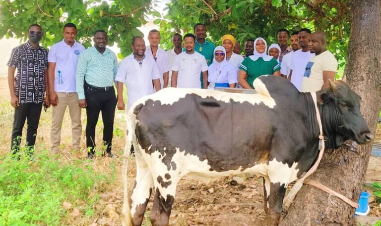 Bolewura Honours Bole Municipal Hospital with Bull Donation