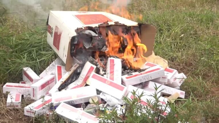 NACOC Destroys Seized Narcotics in Savannah Region