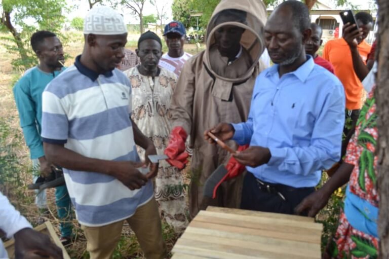 Bunyanso Farms: Where Cashew Cultivation Meets Cultural Tourism
